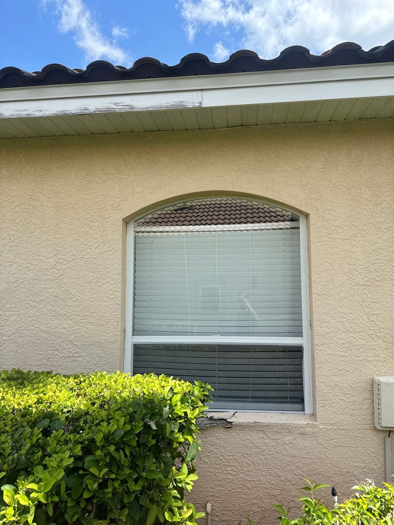 Before: Side elevation · arched single hung