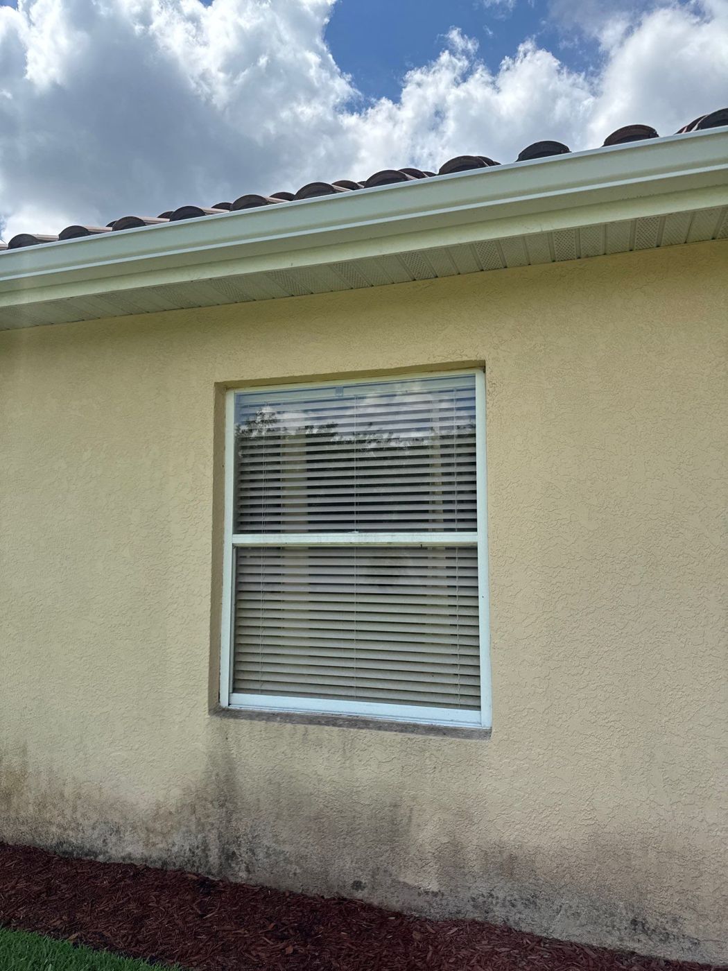 Before: original white non-impact windows, Lutz FL